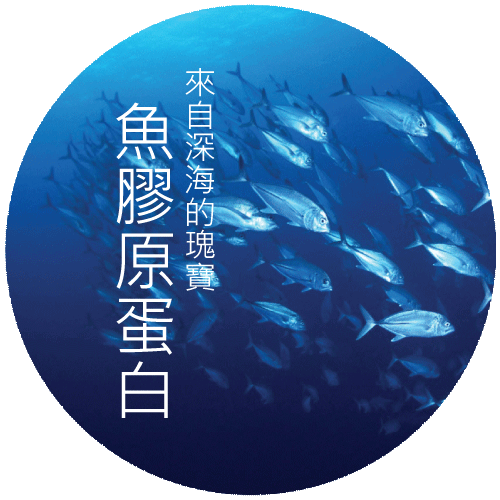 海洋膠原蛋白